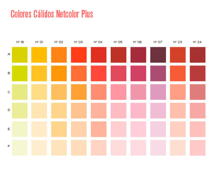 CALIDOS – Netcolor